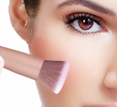Tarte rainforest of the sea foundation